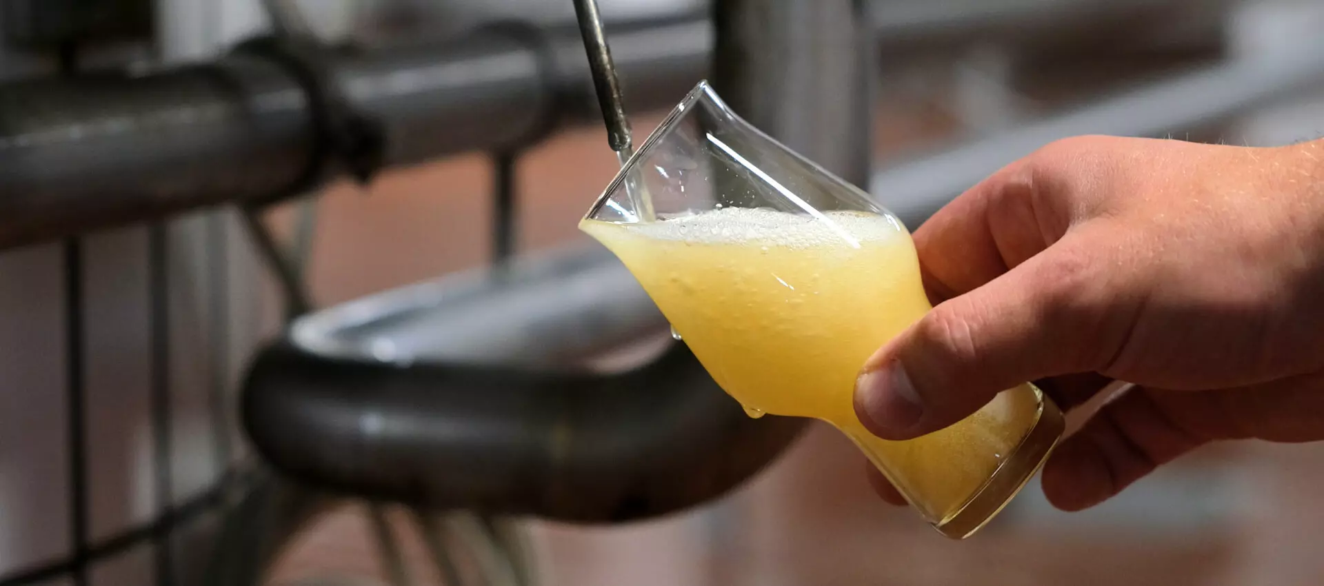 Abfüllen einer Bierprobe zur Qualitätskontrolle des Bieres der Flensburger Brauerei direkt aus dem Tank.
