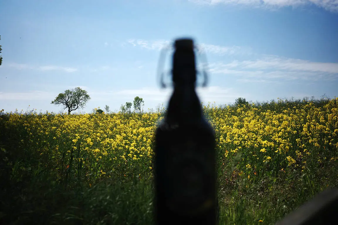Unscharfe Flaschen-Silhouette vor gelbem Rapsfeld und einsamem Baum unter blauem Himmel
