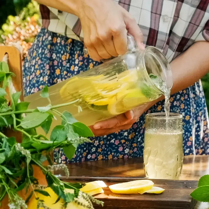 Erfrischende hausgemachte Zitronenlimonade mit Zitronenscheiben und frischer Minze im Garten, die aus einem Krug in ein Glas eingeschenkt wird.