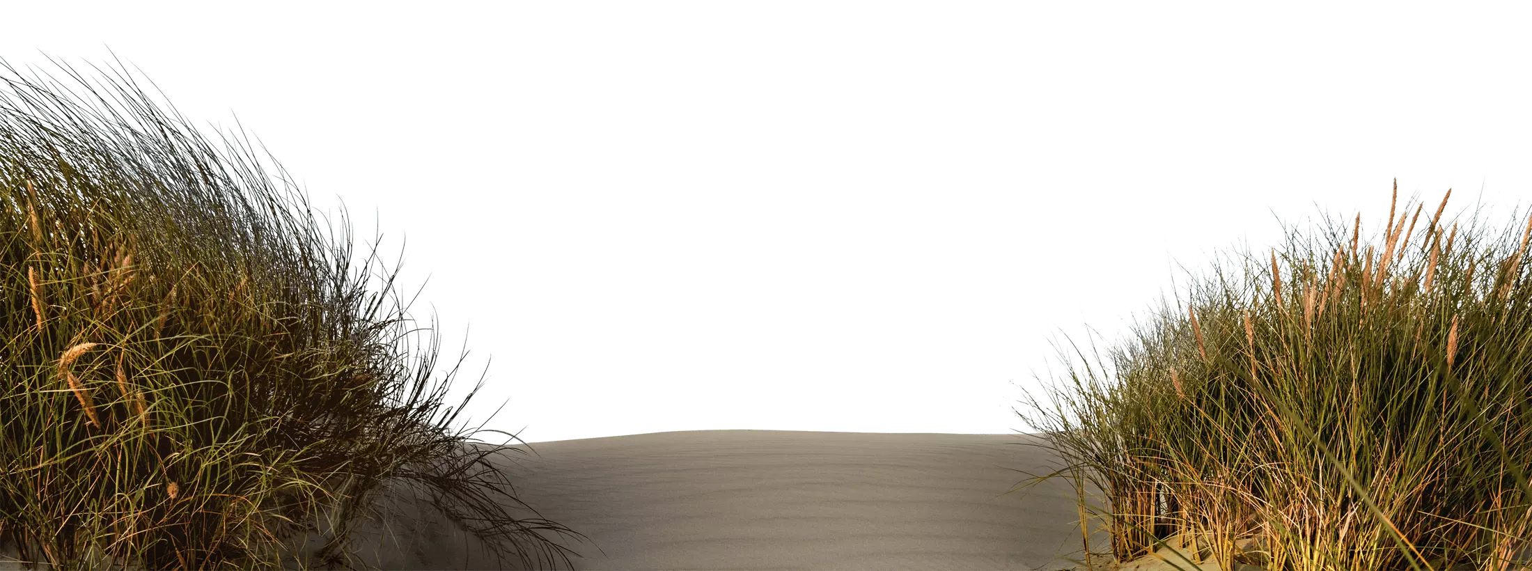 Stranddühne im Herbst.