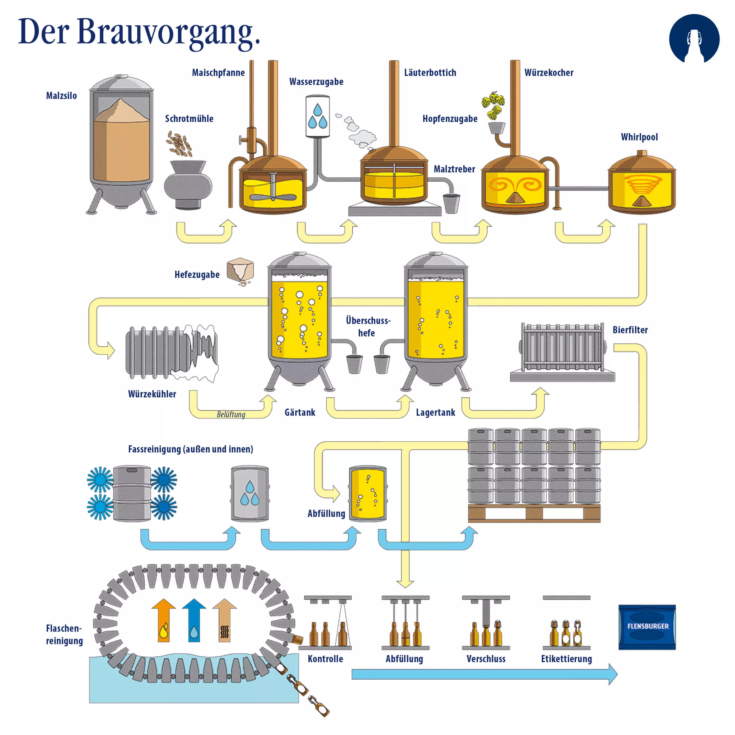 Infografik zum Brauprozess: vom Malzsilo bis zum fertigen Endprodukt wird der Prozess Schritt für Schritt mit Infografiken erklärt.