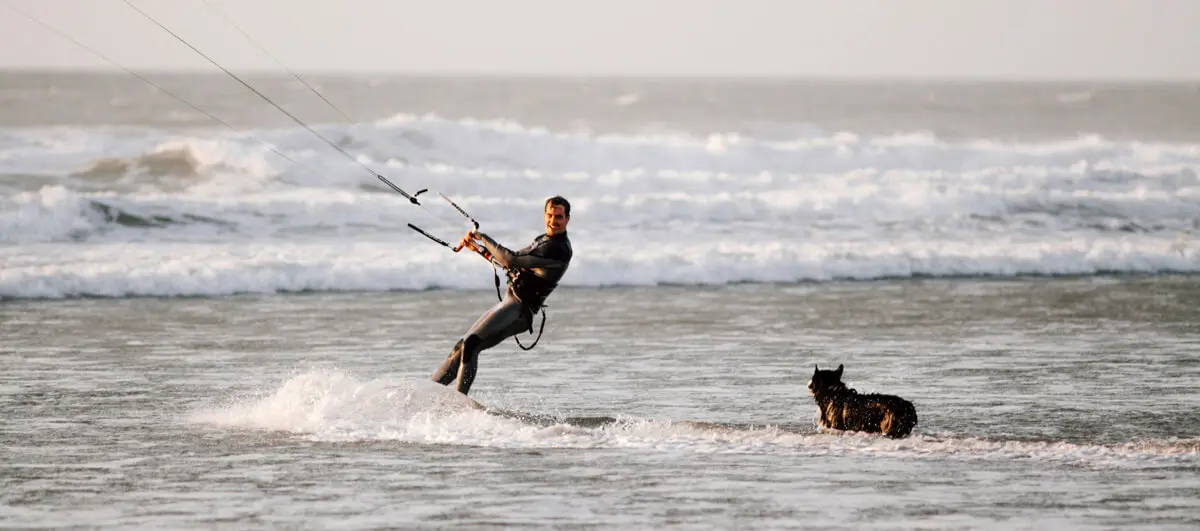 Kitesurfer im Neoprenanzug fährt am Strand, Hund im flachen Wasser, Wellen im Hintergrund.