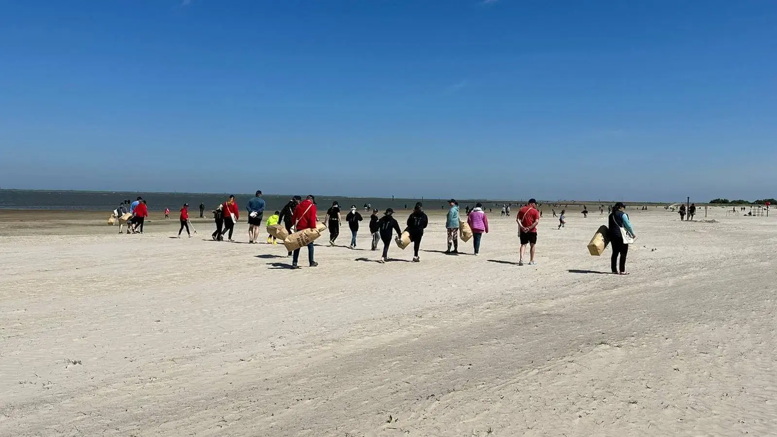 Gruppe von Menschen mit Hunden bei FLENS StrandGut Aktion an sonnigem Tag.