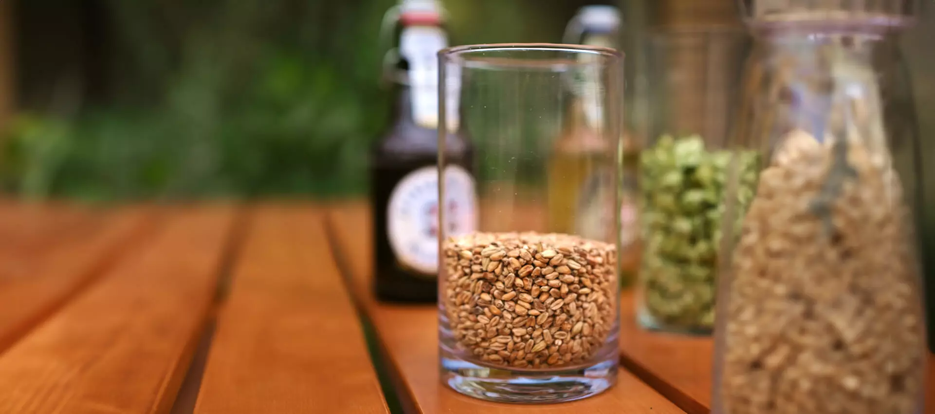 Ein Glas mit hellem Braumalz auf einem Holztisch, im Hintergrund verschwommen zwei Flaschen mit Flensburger Bier und Hopfendolden.