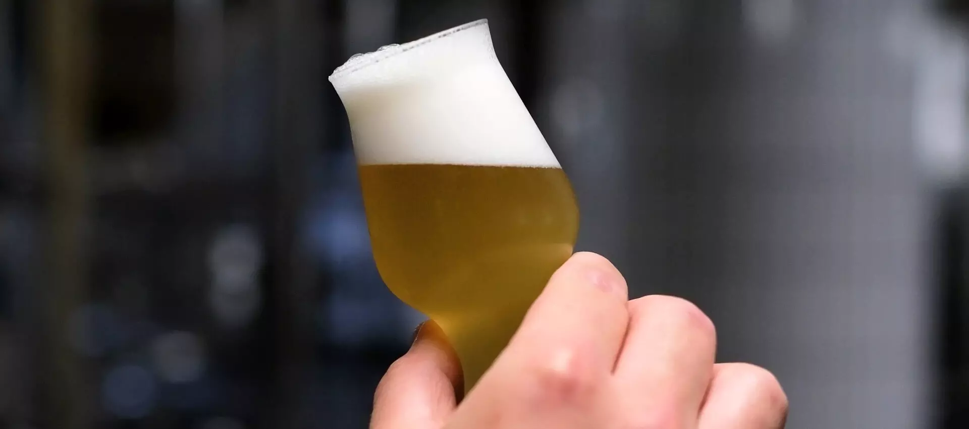 Bierprobe zur Qualitätskontrolle des Bieres der Flensburger Brauerei im Probierglas.
