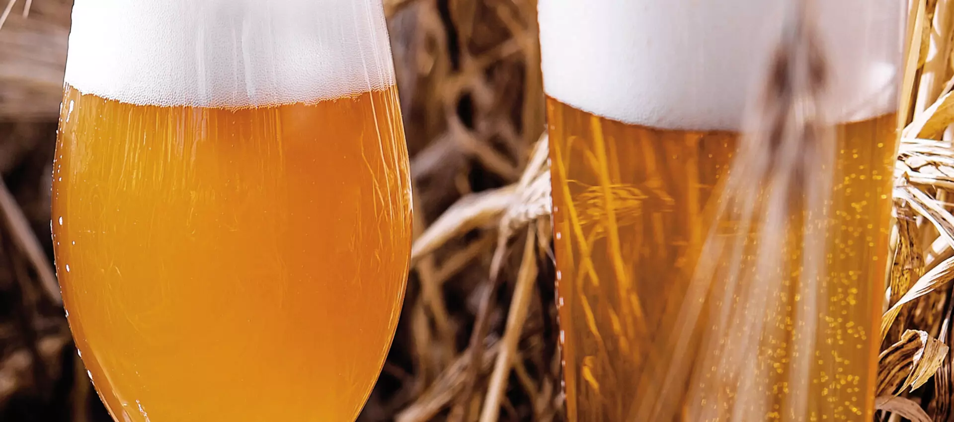 Links ein ungefiltertes Bier, rechts ein klares, transparentes Bier, jeweils eingeschenkt im Glas, vor einem Strohhintergrund.