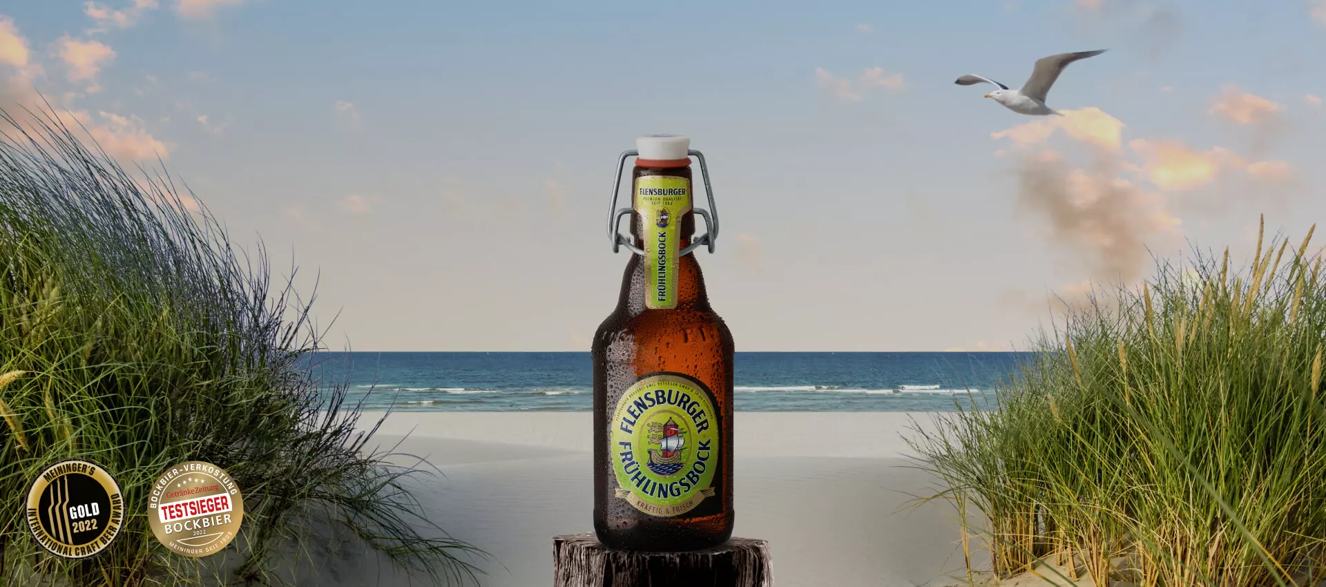 Flasche Flensburger Frühlingsbock auf einem Poller am Strand, oben fliegt eine Möwe, unten links zwei Siegel: Meininger's International Craft Beer Award Gold und Getränke Zeitung Testsieger Bockbier.