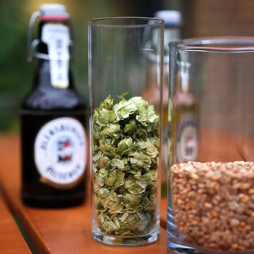 Hopfendolden in einem Glas auf einem Holztisch, davor ein Glas mit Malz, dahinter eine Flasche Flensburger Pilsener.