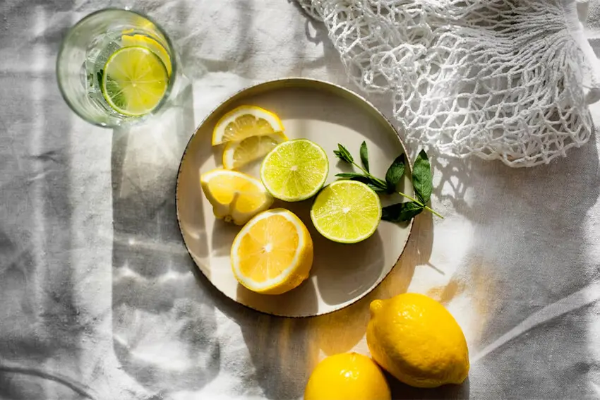 Frische Zitronen- und Limettenscheiben auf Teller mit Minze neben einem Glas mit selbstgemachter Zitronenlimonade.