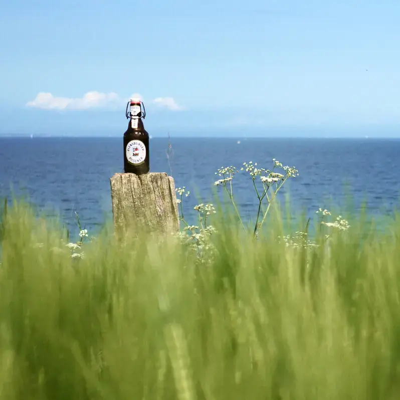 Ein grünes Fels mit Küstengerste vorm Wasser, im Hintergrund eine Flasche FLENS auf einem Holzpoller.