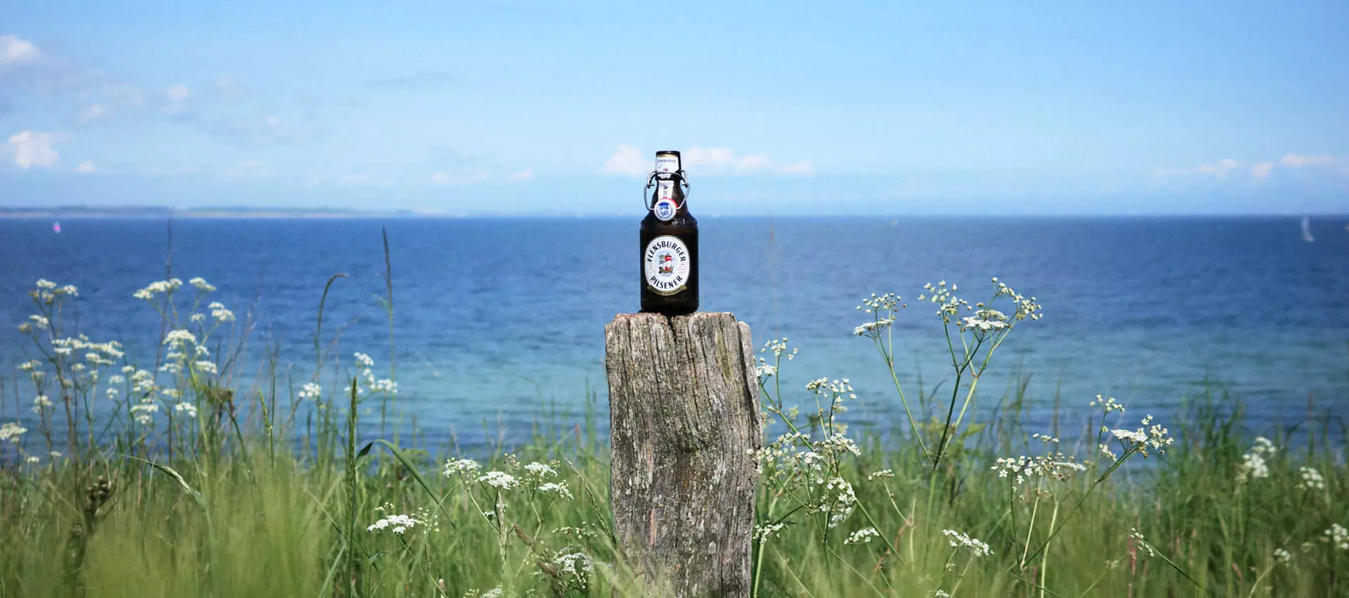 Bierflasche Flensburger Pilsener auf Poller auf einer grünen Wiese vorm Wasser.