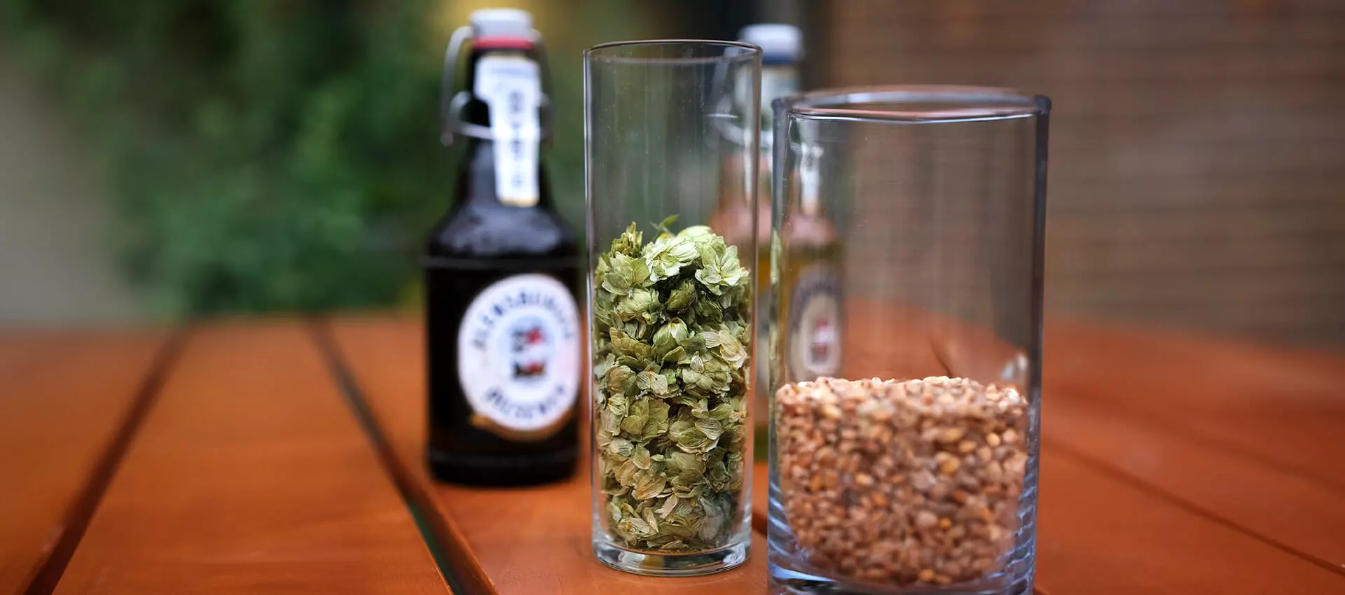 Hopfendolden in einem Glas auf einem Holztisch, davor ein Glas mit Malz, dahinter eine Flasche Flensburger Pilsener.