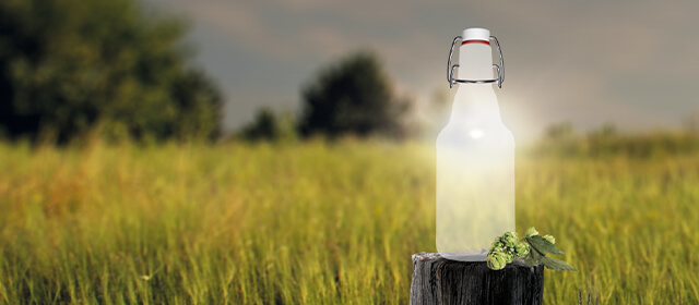 Leere Bügelverschlussflasche vor einem Feld