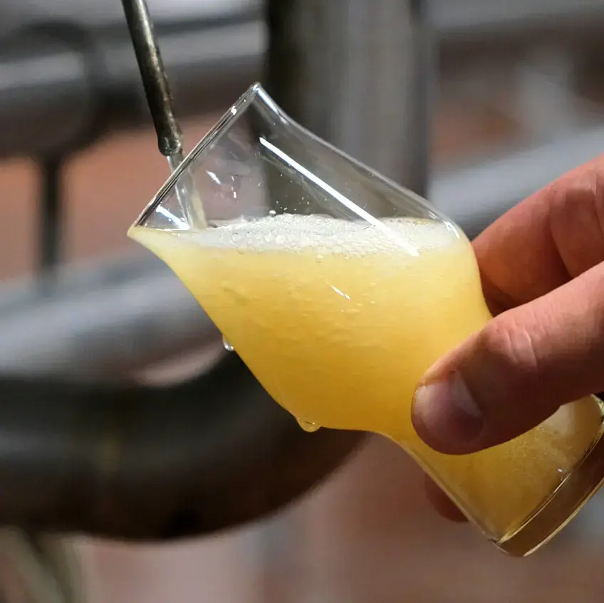 Abfüllen einer Bierprobe zur Qualitätskontrolle des Bieres der Flensburger Brauerei direkt aus dem Tank.
